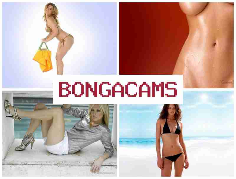 BNGACAMS 🔴 Hot Webcam Videos