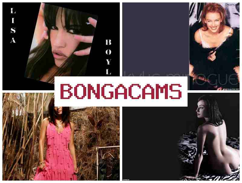 B9NGA CAMS 👍 Amelichok Webcam Video