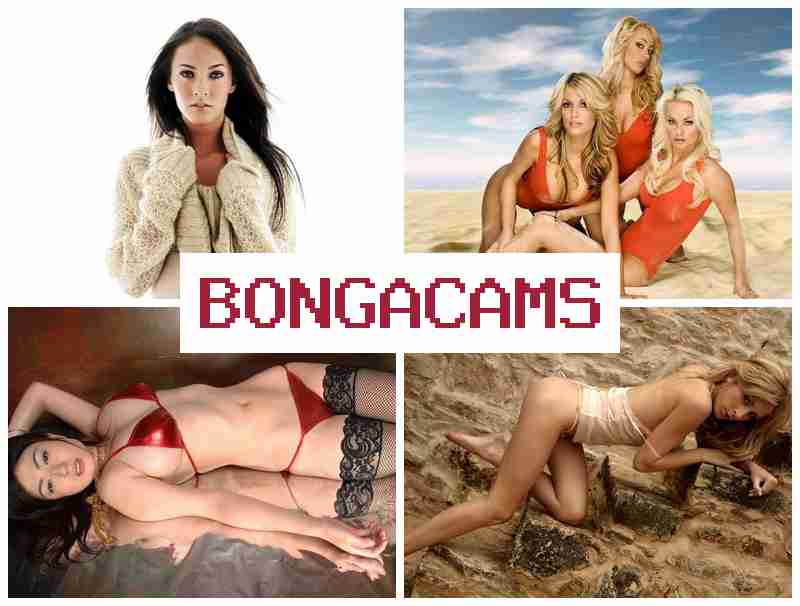 B0NGA CAMS 🔶 Webcam Showing Pussy