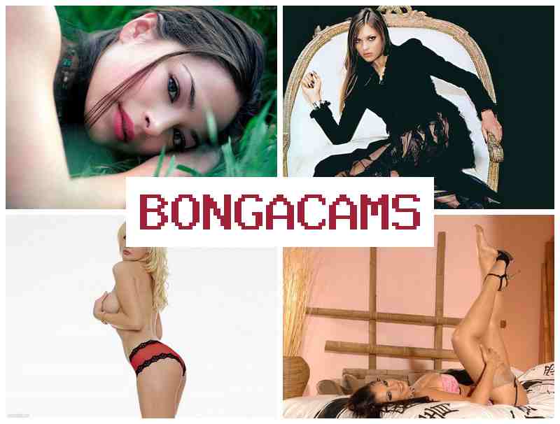 BPNGA CAMS 🔞 Daddy Webcams