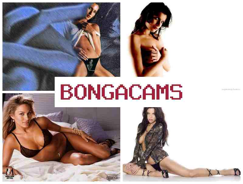 BOHGA CAMS 🔵 Webcam Russian Whores