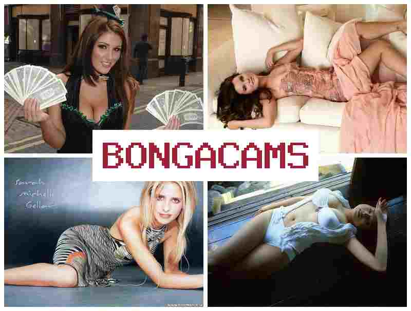 BOJGA CAMS █ Teen Cams Webcam Porn