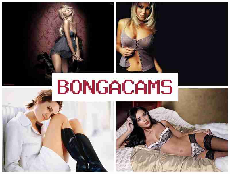 BOMGA CAMS ▓ Webcams 19+