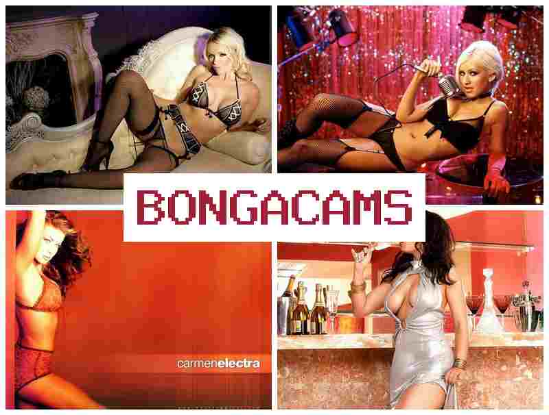 BONHA CAMS 🔺 Webcam Fisting