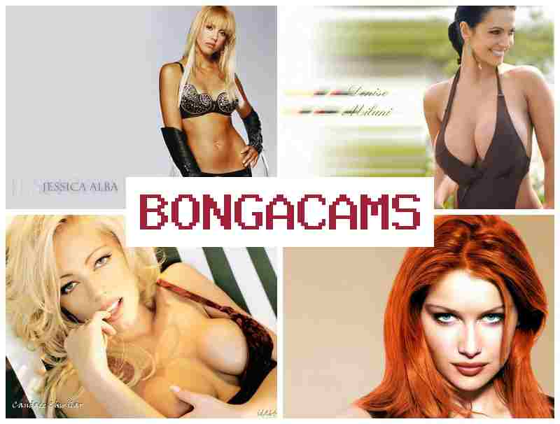 BONGQ CAMS 🔵 Homemade Anal, Webcam