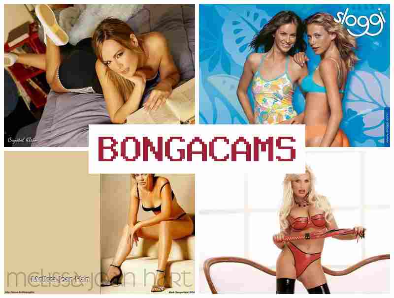 BONGA VAMS 🌟 Boy Yo Webcam