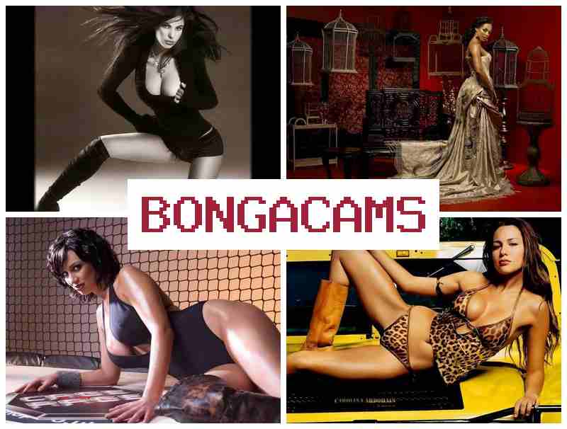 BONGA CSMS 🔻 Webcam Girls