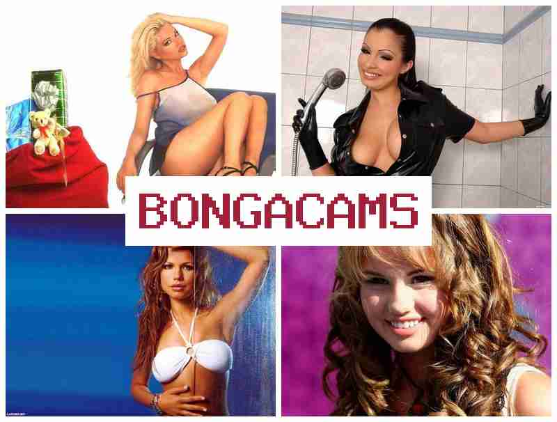 BONGA CA,S 💚 Big Milking Webcam