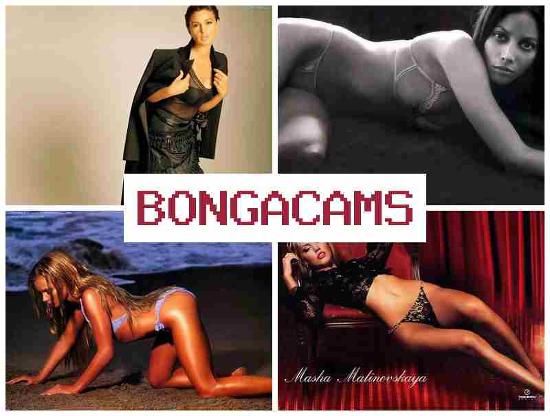 BONGA CAMW 📹 Webcam Nude Video