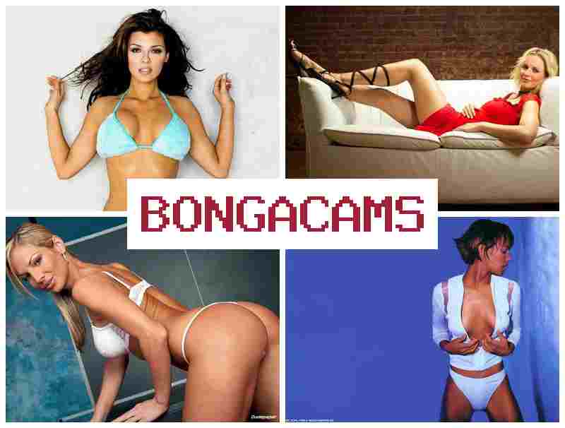 BONGA CAME 📺 Dildo, Anal, Webcam COM