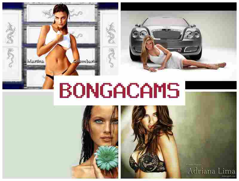 BONGACCAMS 🔵 Webcams 17