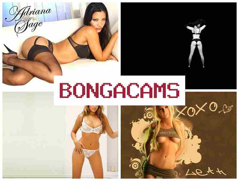 OBNGACAMS 💛 Hairy, Webcam Video