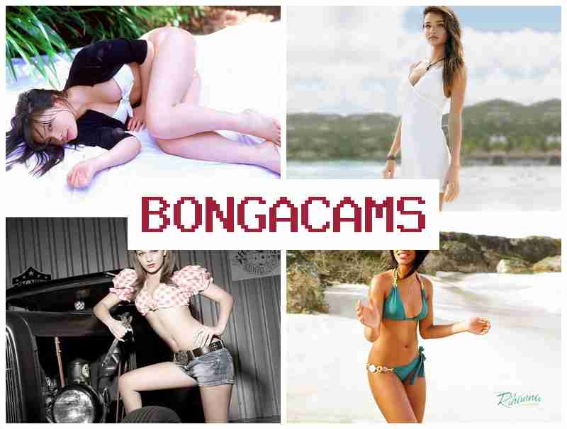 BNOGACAMS 🎥 Webcams Russian Hairy Bitch