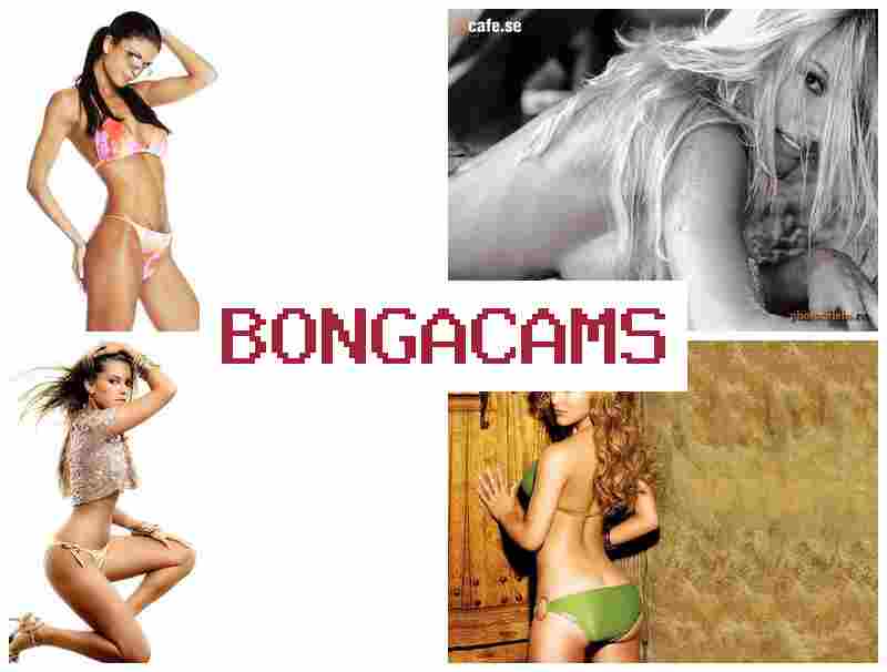 BOGNACAMS 🆒 Webcam Huge Big Tits