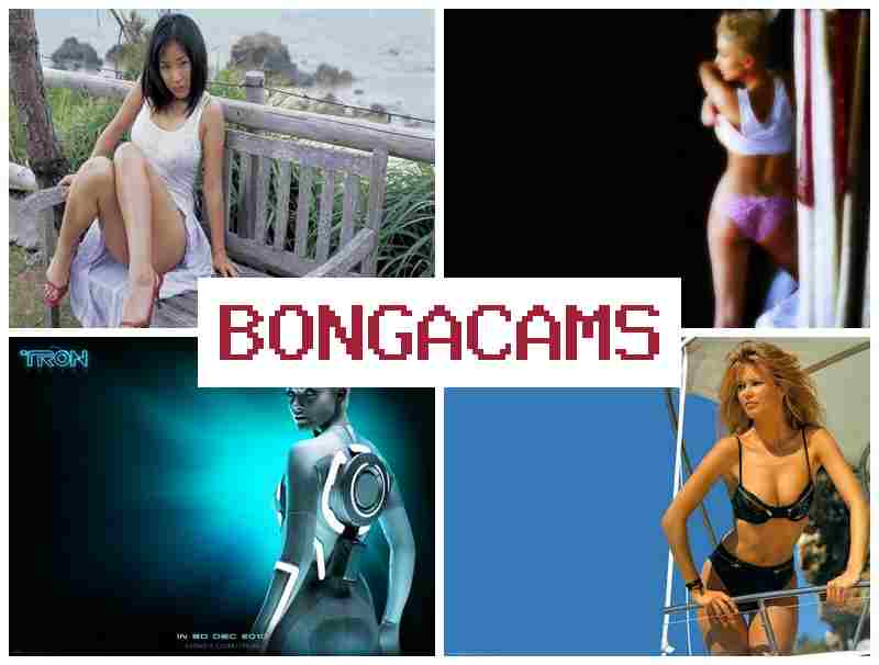 BONGAACMS 💕 Cam COM Sex Webcam