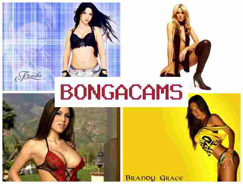 NONGACAMS 🆕 Amateur Webcam Gallery