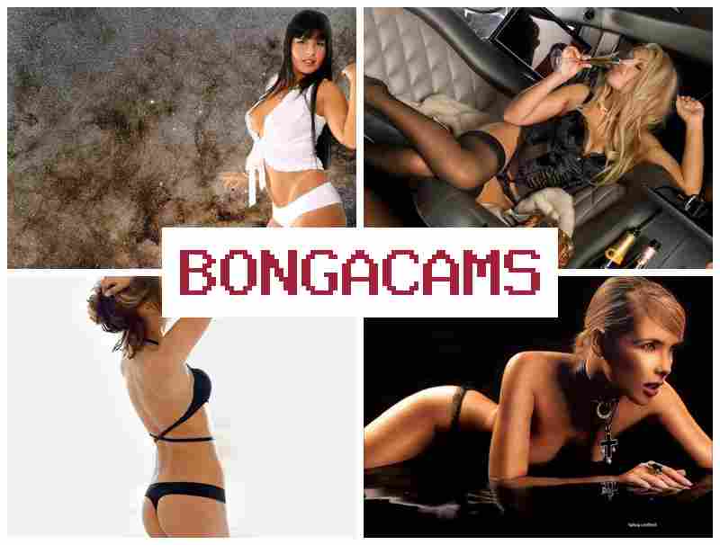 BKNGACAMS 🔻 Celebrities Sex Webcam