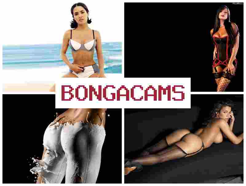 BOBGACAMS 📹 Blonde Solo, Webcam