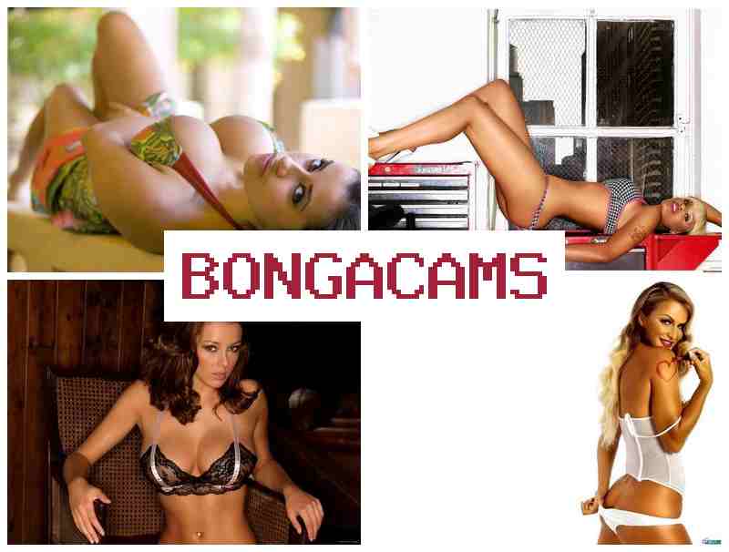 BONGCAMS 💘 Index Teen Webcam Forum