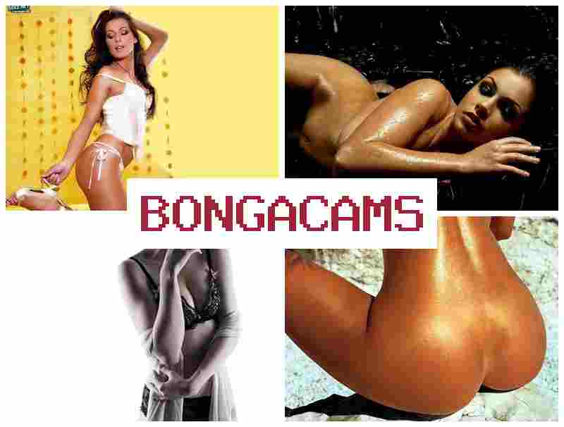 BONHACAMS 👩 Webcam Girl Privat