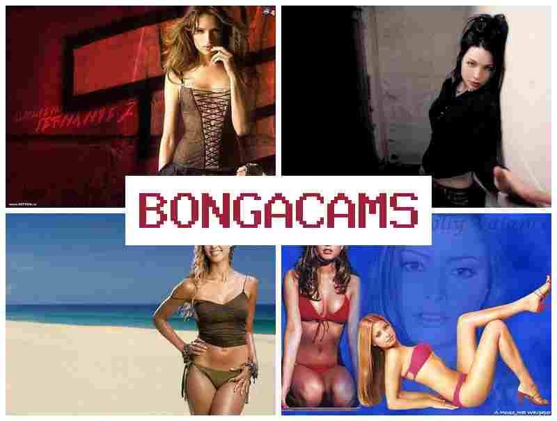 BONGWCAMS 💯 L.L.L. Webcam