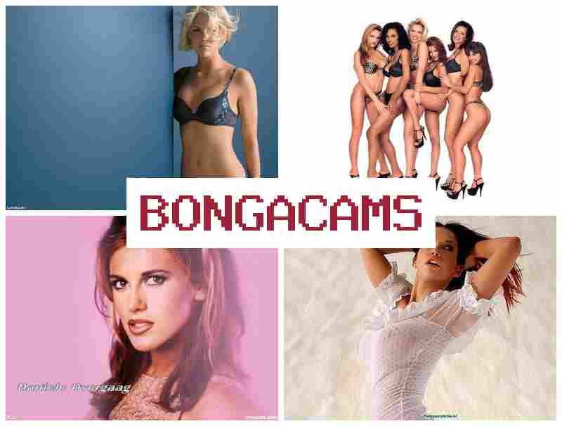 BONGAXAMS 🔷 Webcam 100