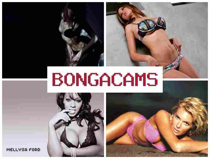 BONGADAMS ♥ Webcam Shows TV