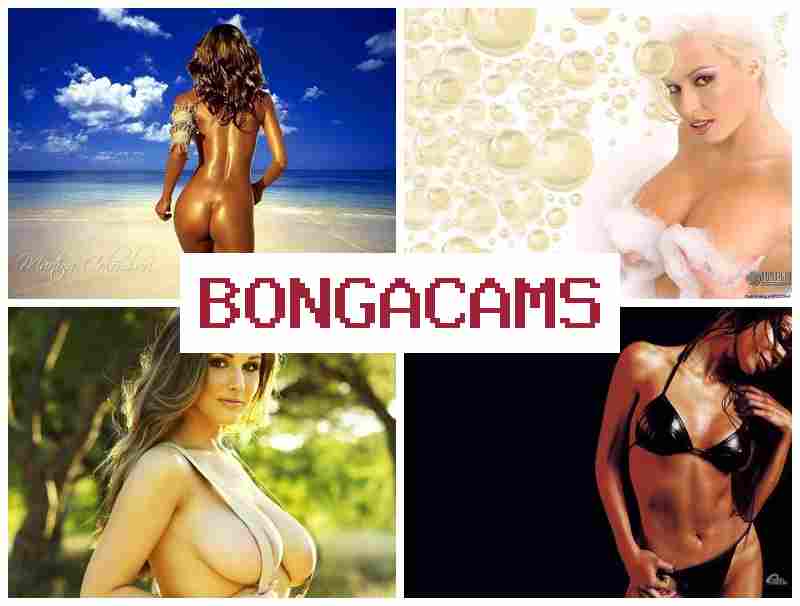BONGACZMS 📹 Webcam Stream Online