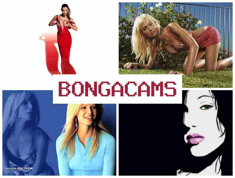 BONGACMS ☑️ Webcam Web