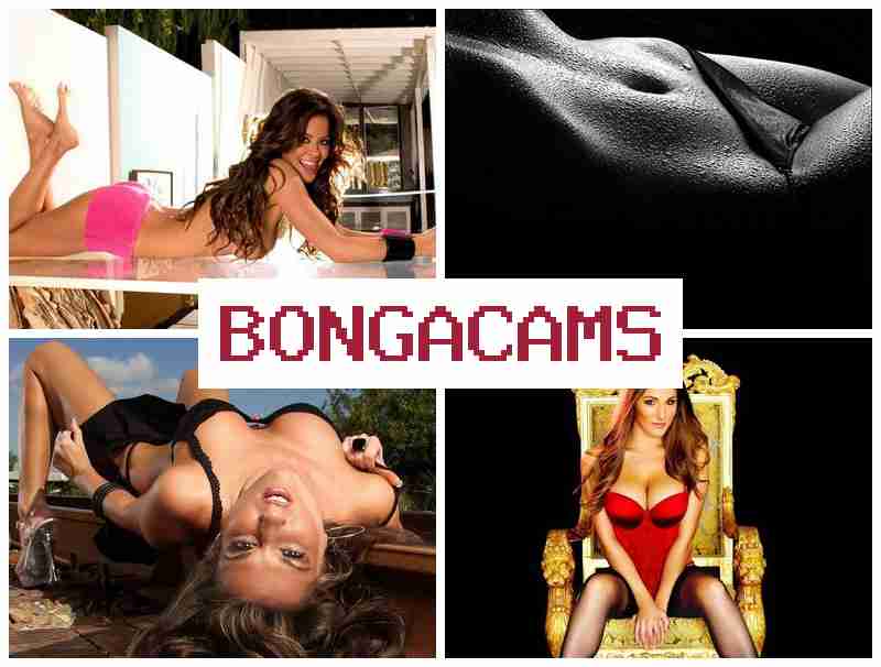 BONGACAKS 💕 Latin Teen Webcam Porn