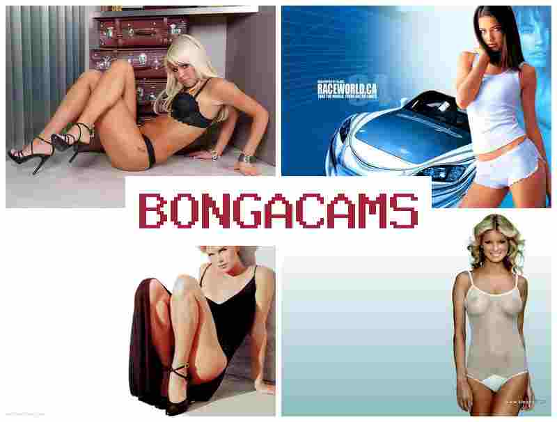 BONGACAMX 💗 Webcam Girl Finder
