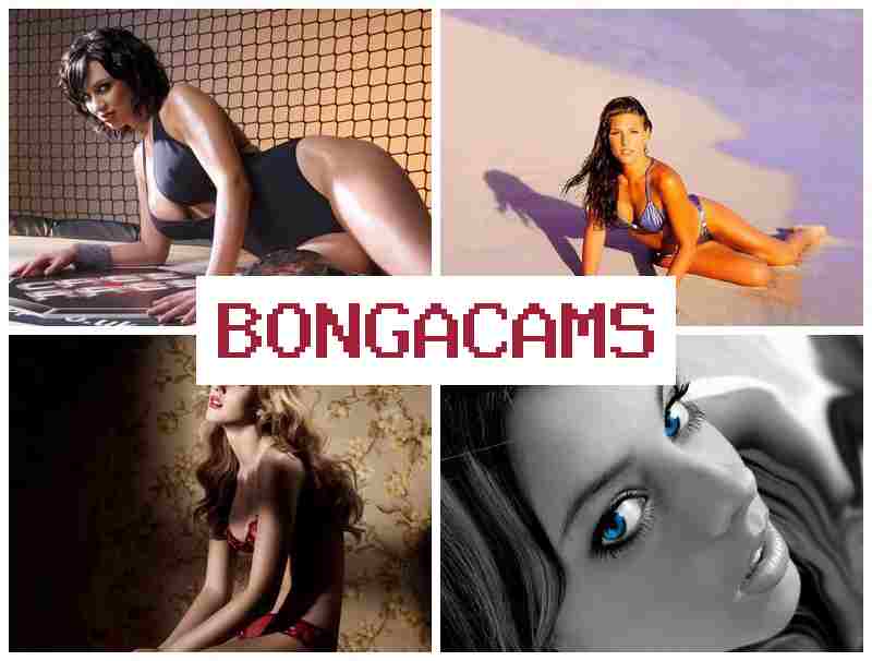 BNGA CAMS 💕 Webcam Big Tits HD