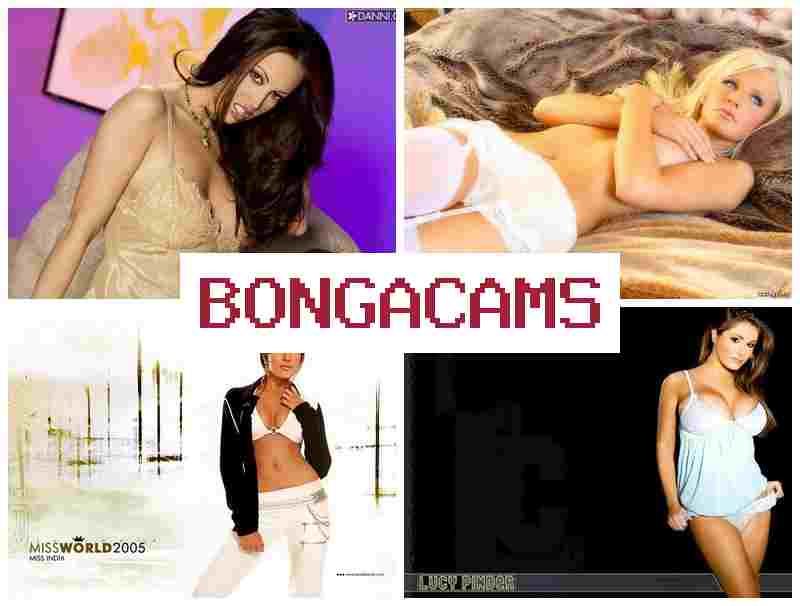 BONGACAS 📹 Webcam Group Porn