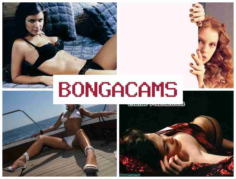 BONGA AMS 💘 Webcam Machines