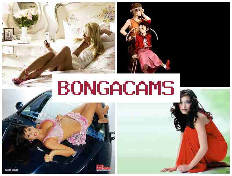 BONGA CMS 💓 Amoral Webcam Video
