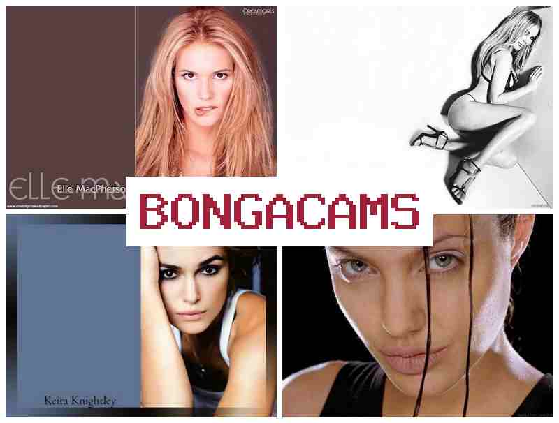 BONGA CAS 🔔 Doggy Style Webcam Porno
