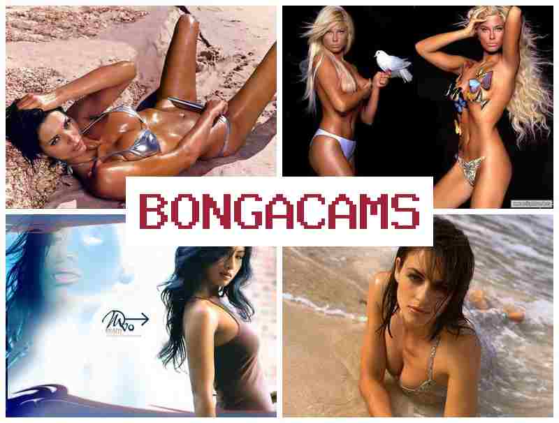 BBONGA CAMS ☑️ Cam Milf, Webcam