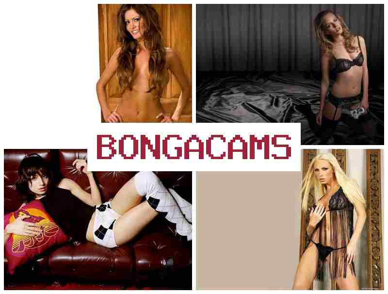 BONGACAM 🎥 Teen Sex Webcams Porno