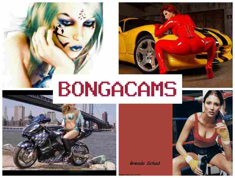 BONNGA CAMS 🔴 High Heels Webcam Porno