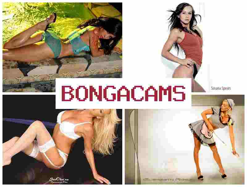 OBNGA CAMS 🌟 Korean KBJ Webcam Video