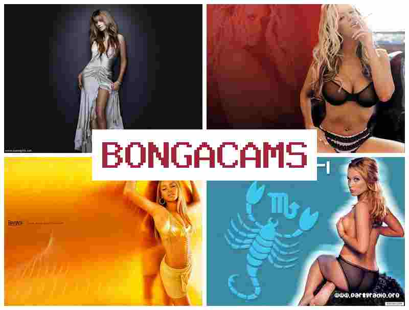 BBONGACAMS 💟 Webcam Searching