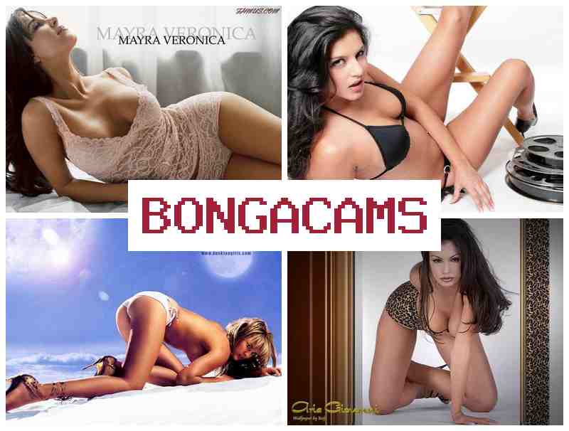 HONGA CAMS 💙 Webcam 2 Porno